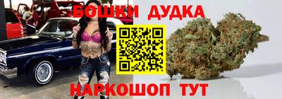 МДПВ Лесосибирск