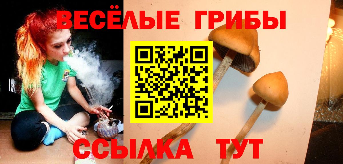 Галлюциногенные грибы прущие грибы  Вход с VPN  Воскресенск 